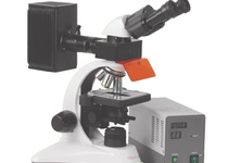 Лабораторный бинокулярный микроскоп MC-100 Daffolid с флуоресцентным блоком